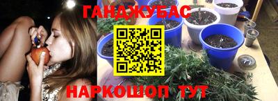 ГАЛЛЮЦИНОГЕННЫЕ ГРИБЫ Изобильный